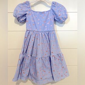 Alice + Ames Juliet Ballet Twirl Dress Size 4T Good Used Condition